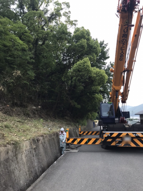 広島県三原市　道路支障木　伐採工事