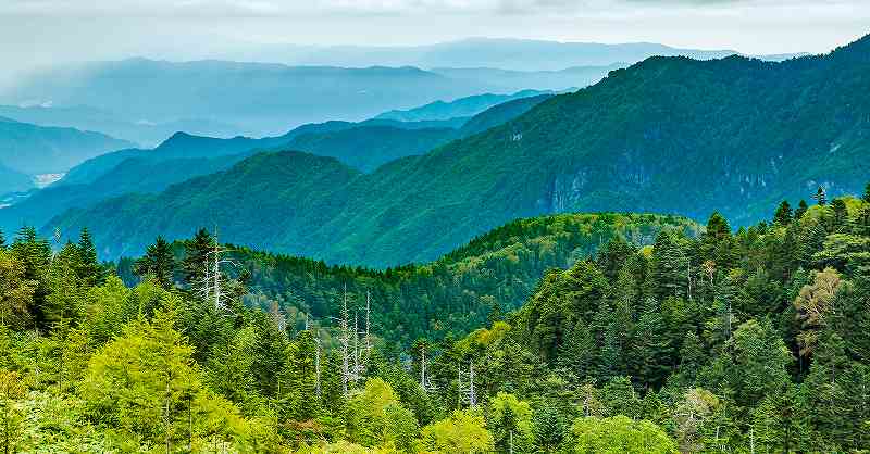 山道整備による地域への貢献とは？