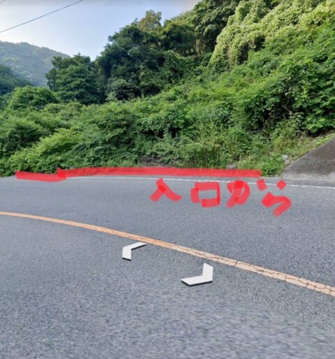 森林整備のご依頼をいただきました！