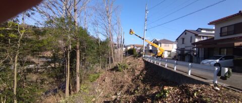 広島県三原市　伐採作業