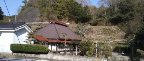 三原市　枯れ竹及び雑木の整理